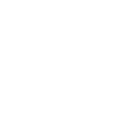 Logo MotionPulse